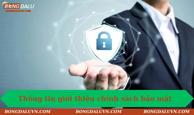 Sơ lược thông tin giới thiệu chính sách bảo mật Bongdalu