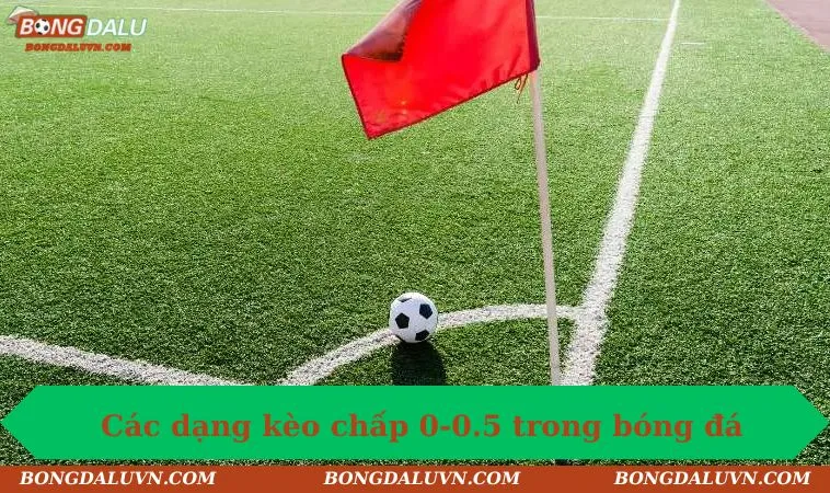 Các dạng kèo chấp 0-0.5 trong bóng đá
