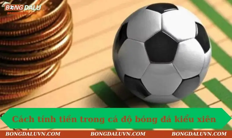 Cách tính tiền trong cá độ bóng đá kiểu cược xiên